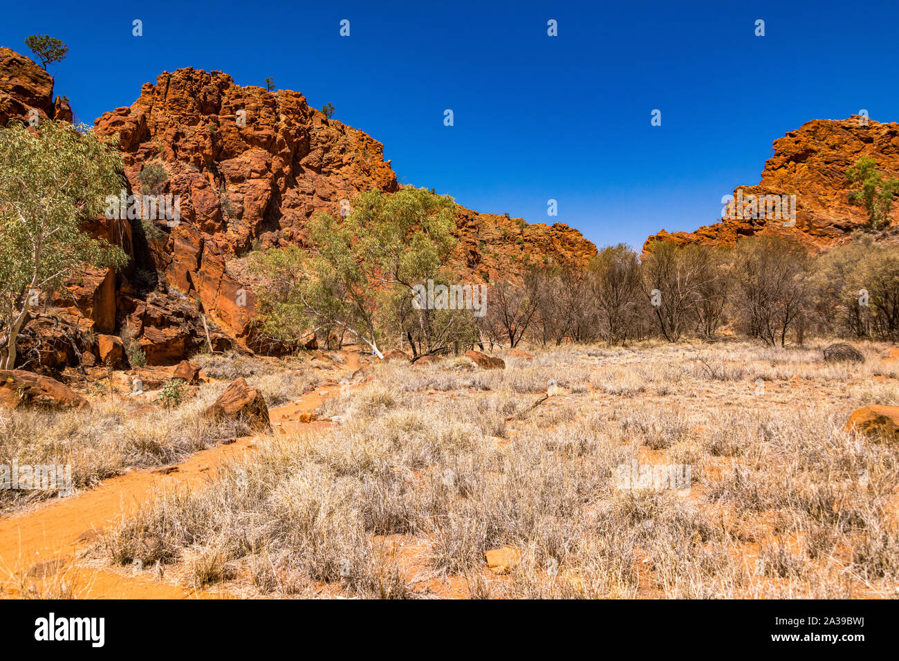 N'Dhala Gorge, dans l'Est des MacDonnell, Territoire du Nord, Australie Banque D'Images