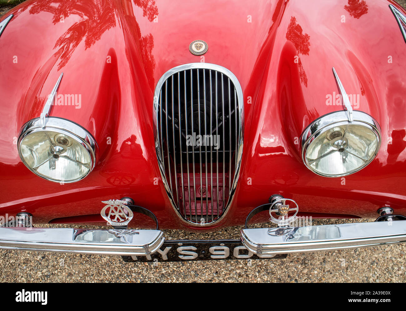 Une jaguar XK120 au Concours d'élégance 2019, Hampton Court Palace, Richmond upon Thames Banque D'Images