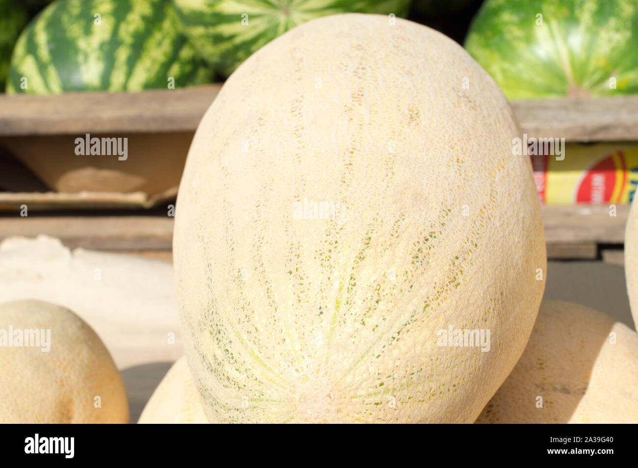énorme melon Banque de photographies et d’images à haute résolution - Alamy