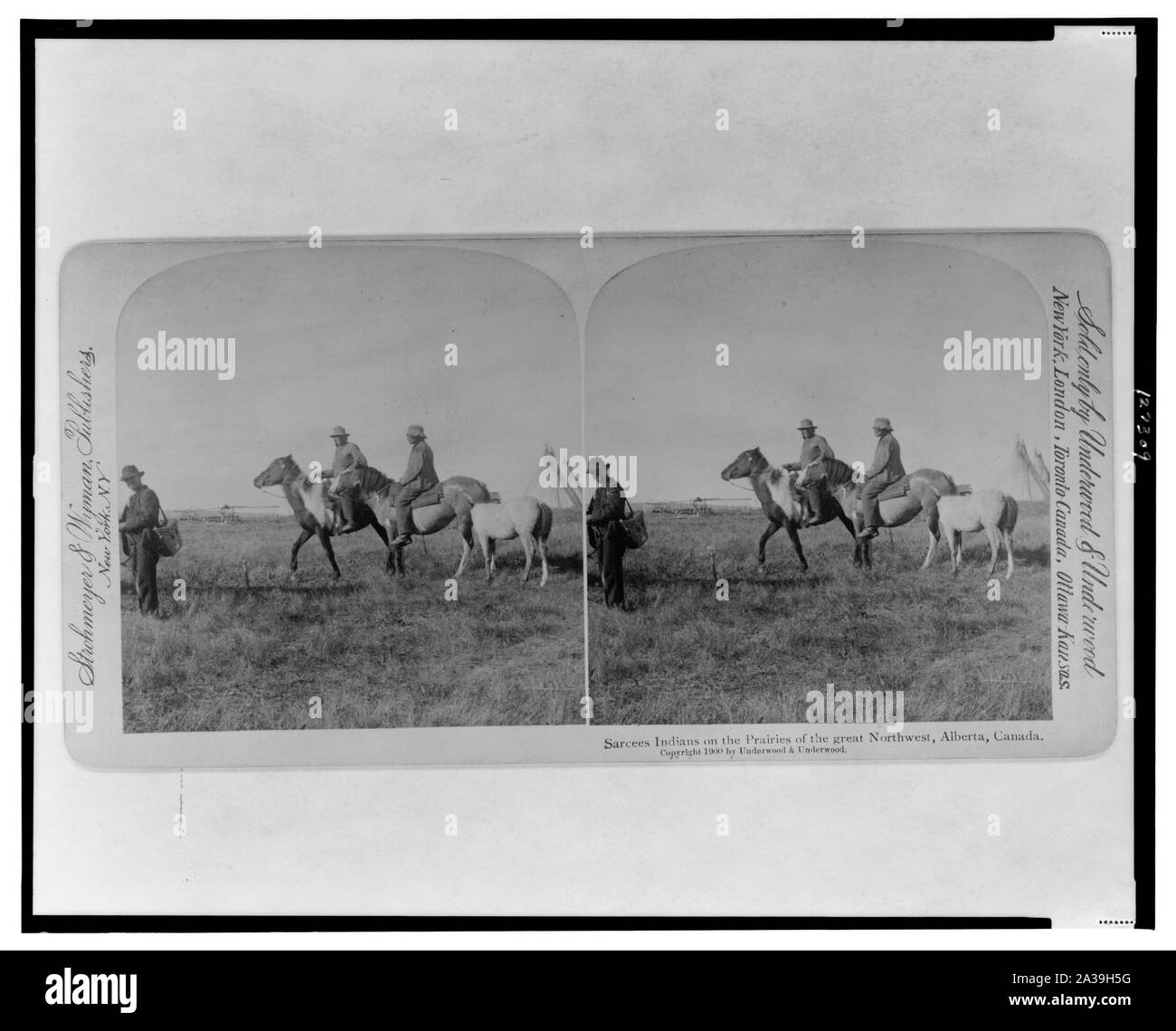 Les Sarcis indiens sur les prairies du nord-ouest, l'Alberta, Canada Banque D'Images