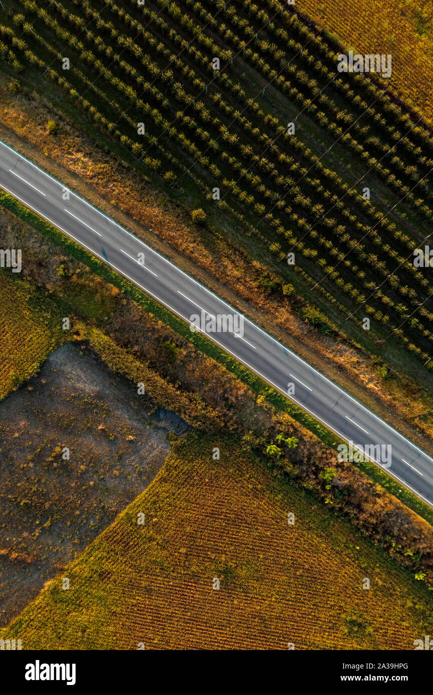 À vide, dans la campagne de drone en pov après-midi ensoleillée d'automne Banque D'Images