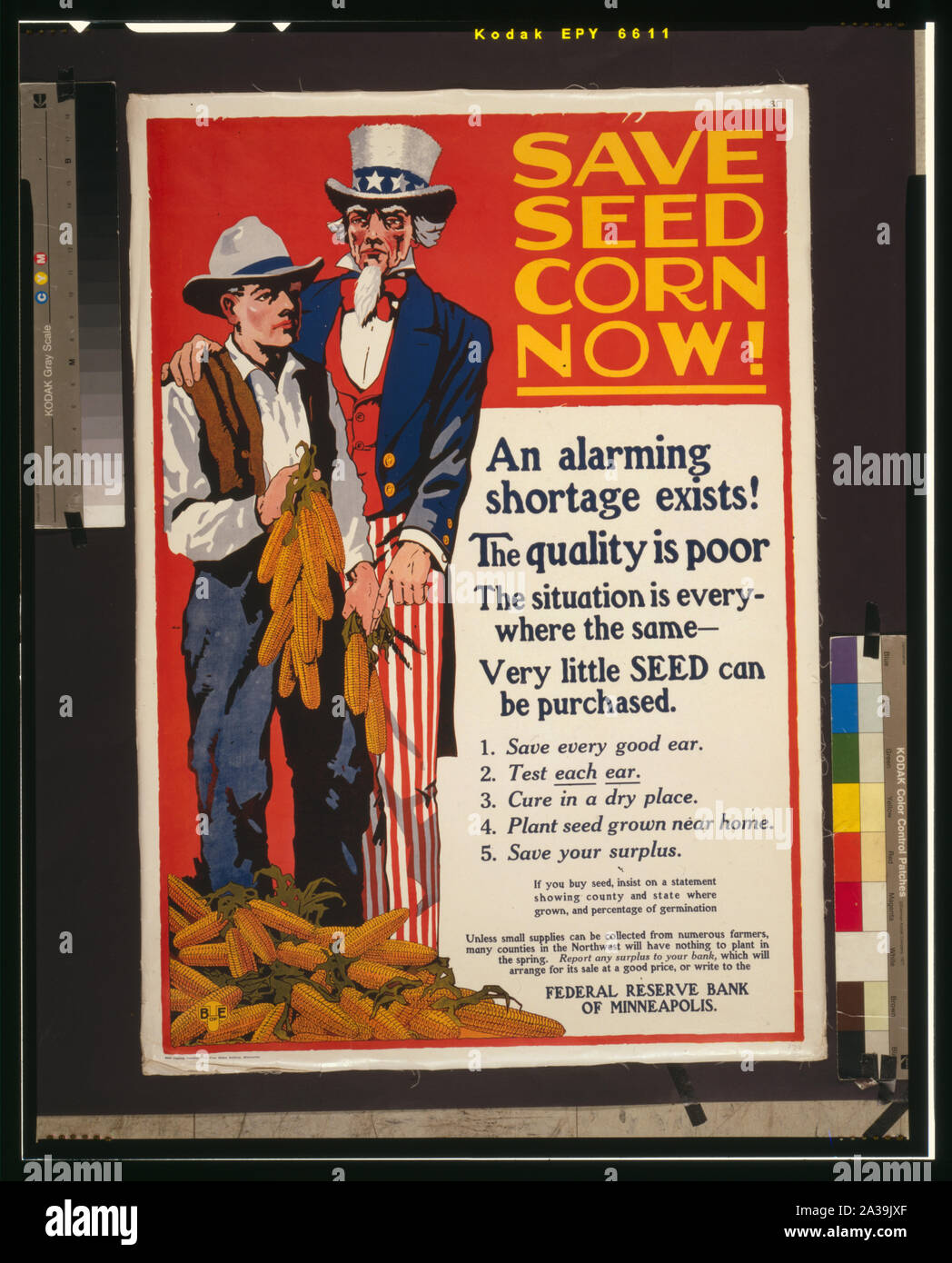 Maïs de semence enregistrer maintenant ! Banque D'Images