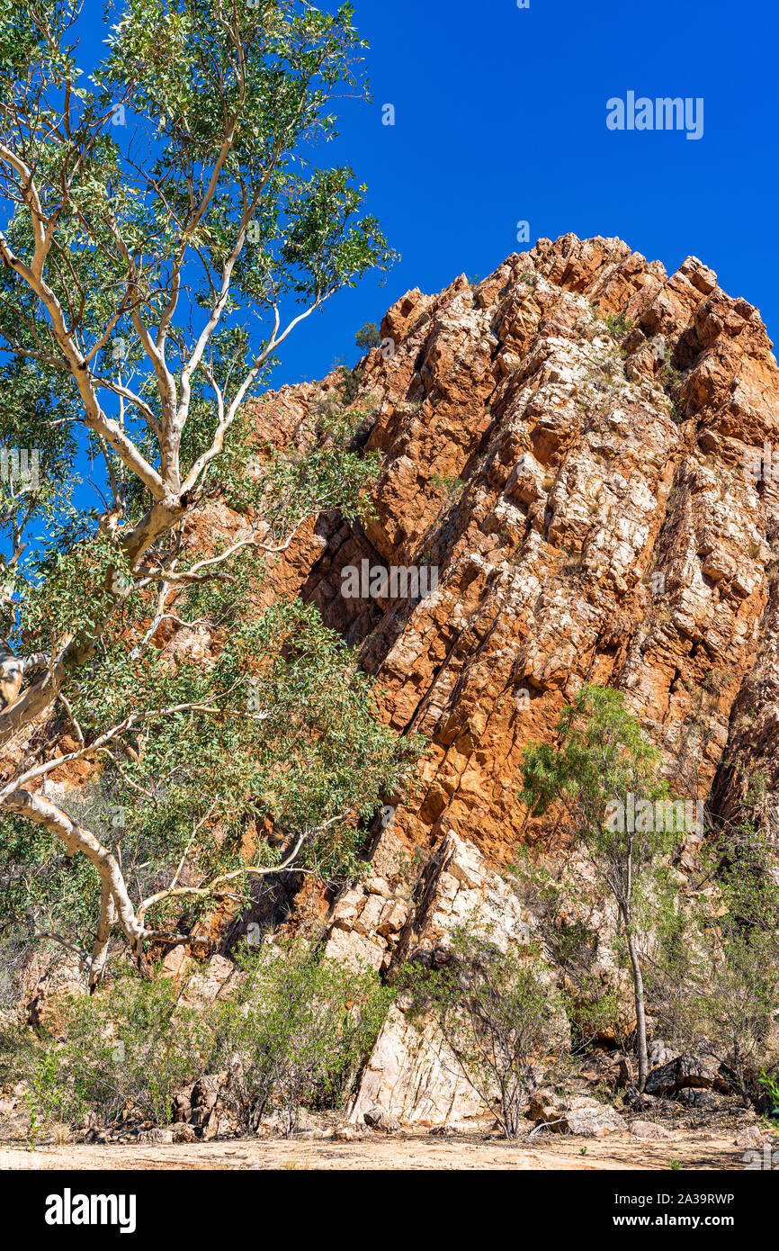 Jessie Gap dans l'Est des MacDonnell, située à l'est d'Alice Springs en Australie centrale. Banque D'Images