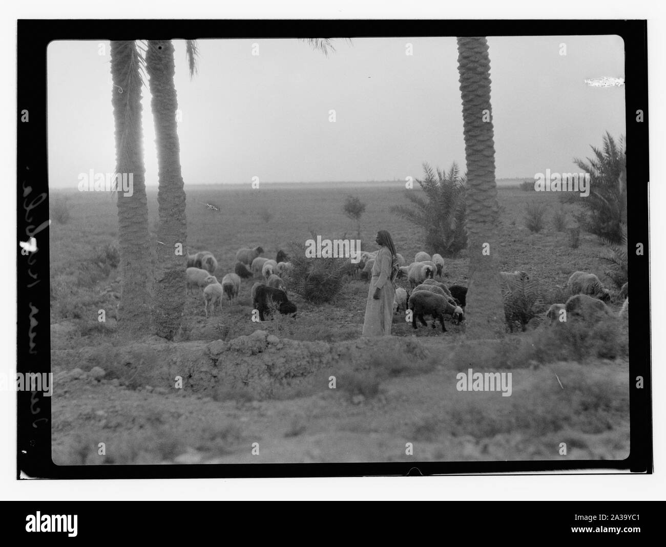 Scène près Kerbela. Banque D'Images