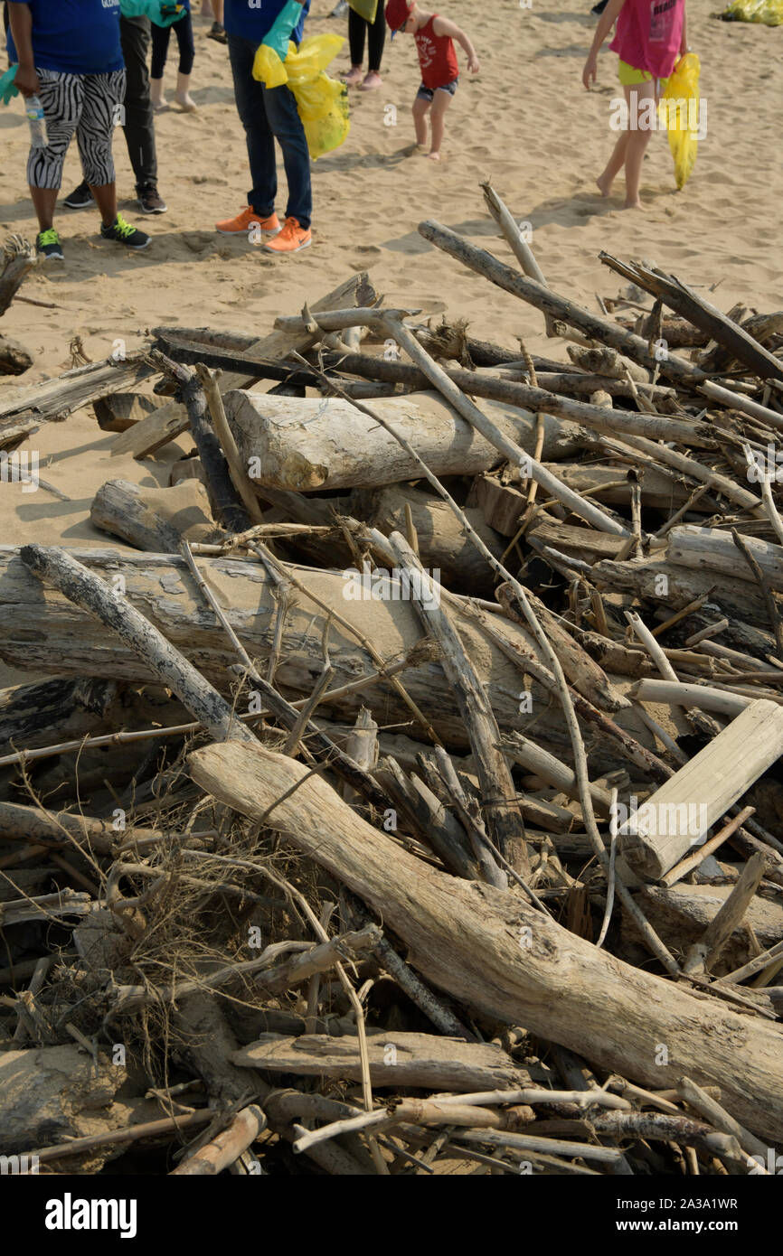 Durban, Afrique du Sud, Résumé, la pollution en plastique, les gens sur la plage la collecte des ordures, 2019, jour de nettoyage du littoral Banque D'Images