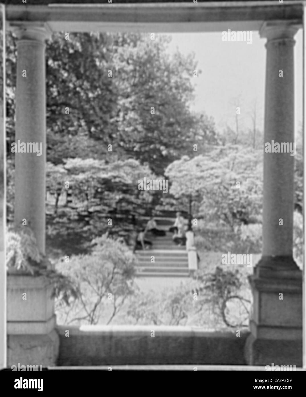 Les écoles. Banque D'Images