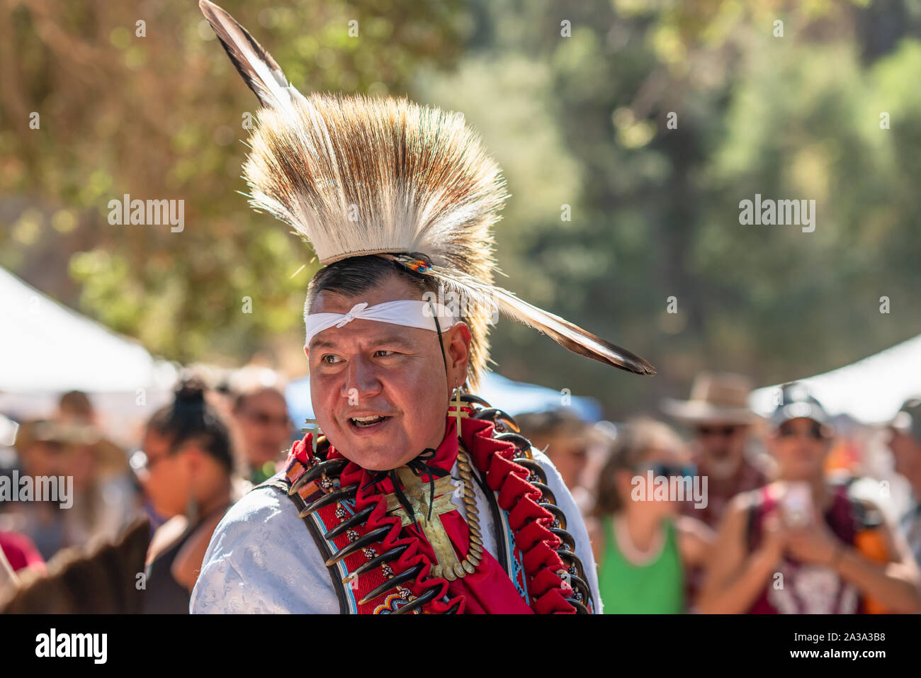 Pow-wow. Portrait of Native American dans full regalia Banque D'Images