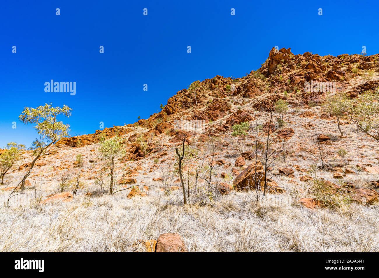 N'Dhala Gorge, dans l'East MacDonnell Ranges dans le Territoire du Nord, Australie. Banque D'Images