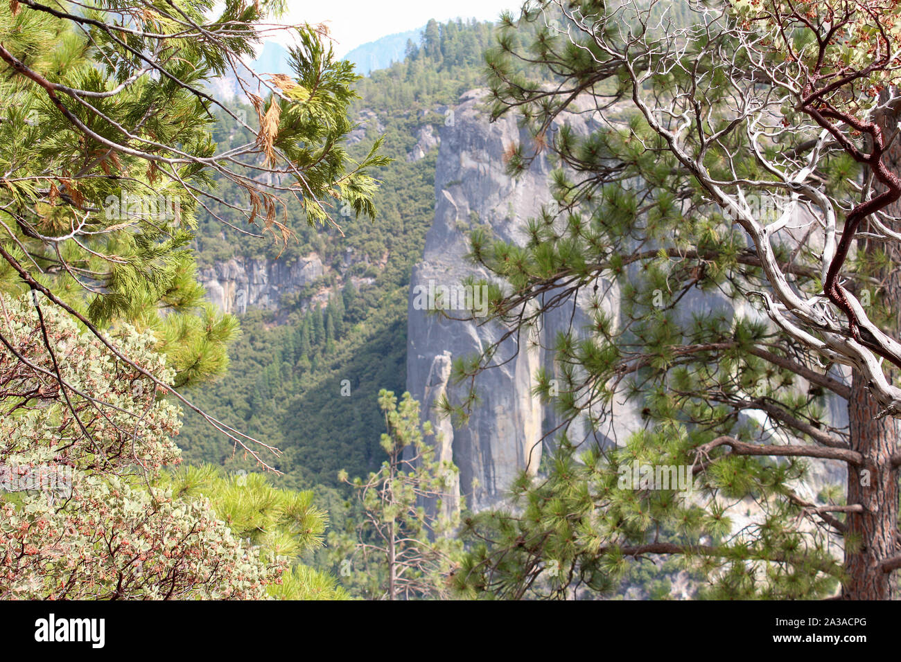 Vue panoramique sur le paysage de Yosemite National Park, California, USA Banque D'Images