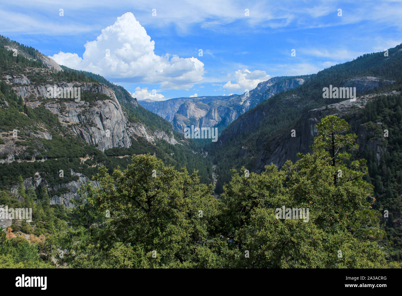 Belle vue de la vallée de Yosemite National Park, California, USA Banque D'Images