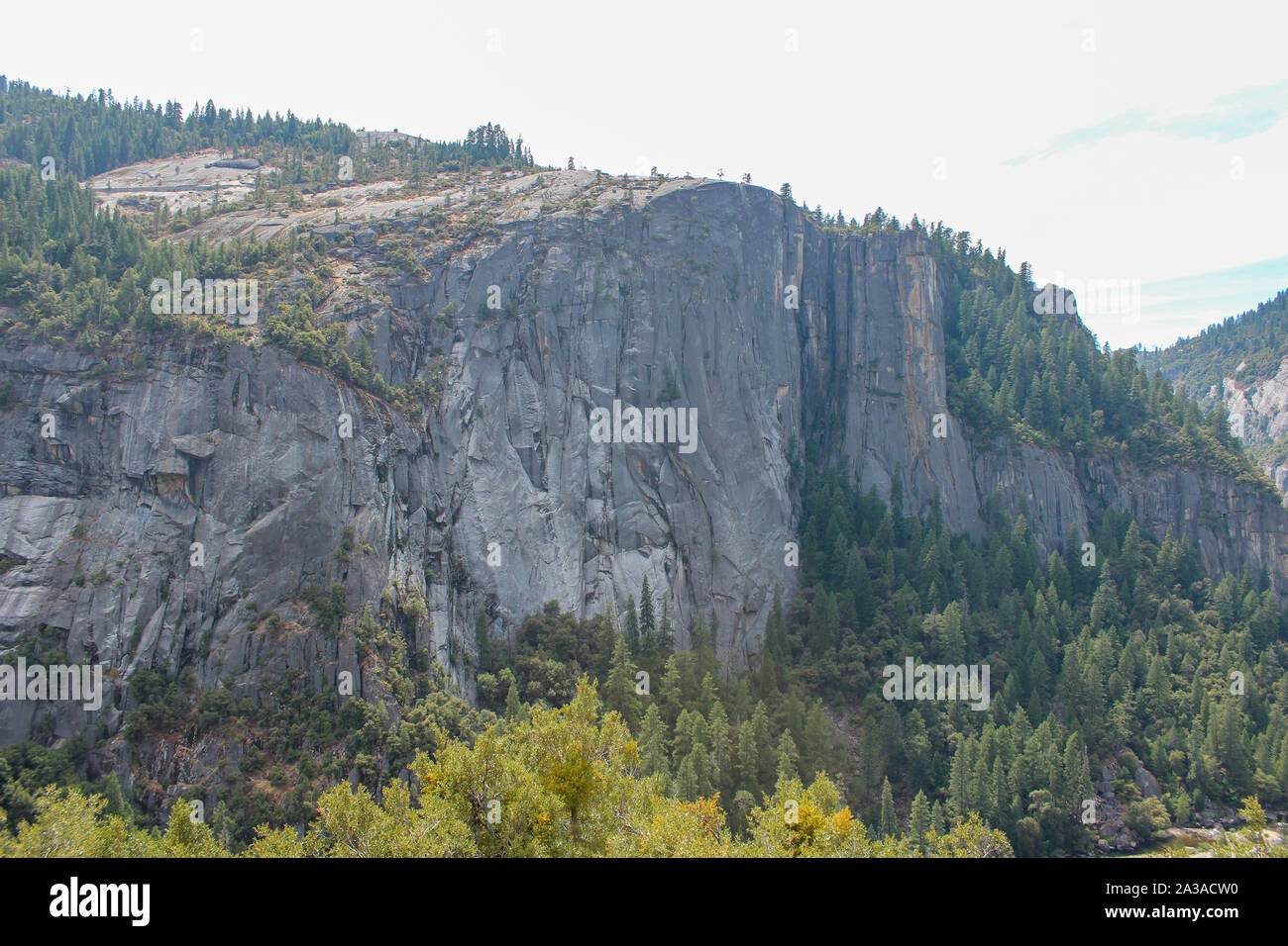 Vue panoramique du paysage dans Yosemite National Park, California, USA Banque D'Images