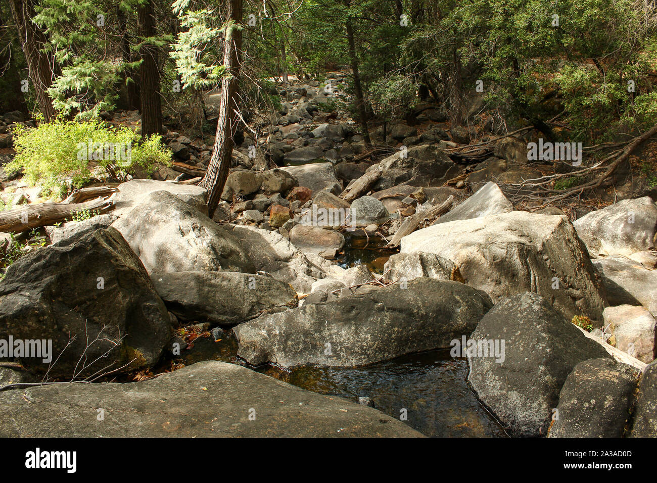 Bridalveil Creek à Yosemite National Park, California, USA Banque D'Images