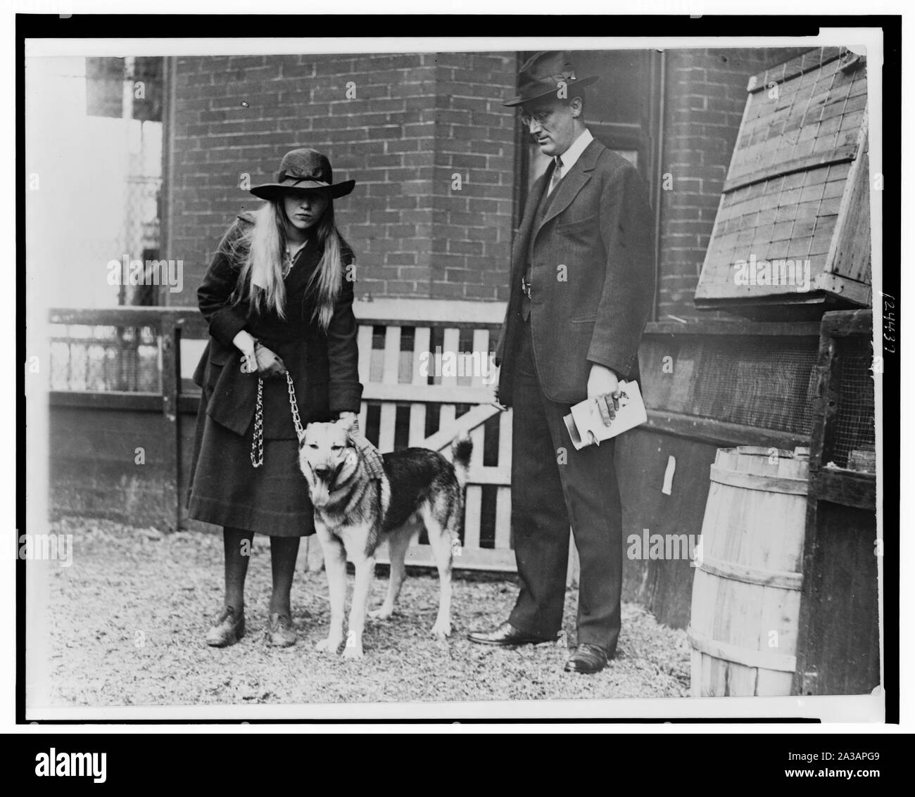 Septième conférence annuelle de l'exposition canine du Club canin de Washington Banque D'Images