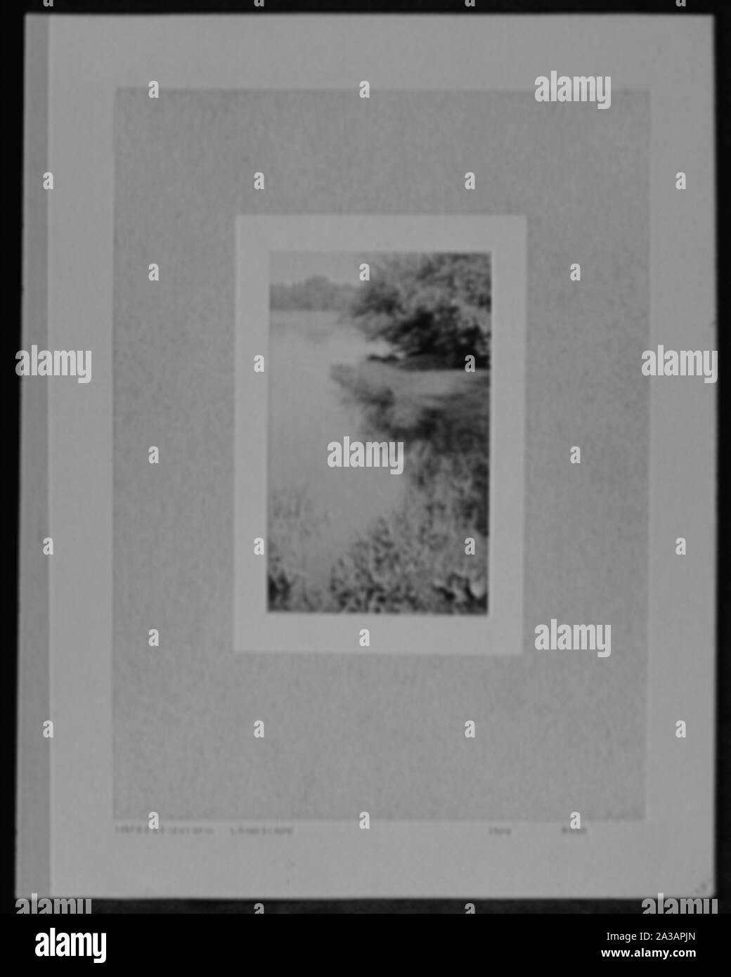 Soixante-et-un ans, ou, Ma vie avec la photographie. Banque D'Images