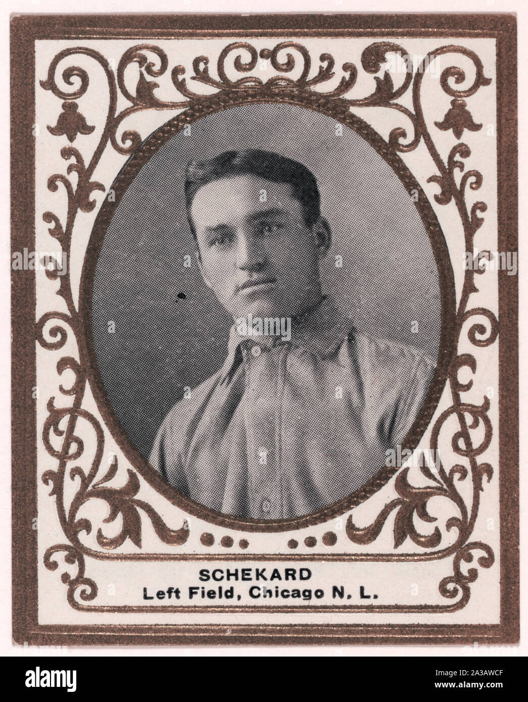 Sheckard, Chicago Cubs, portrait carte de base-ball Banque D'Images