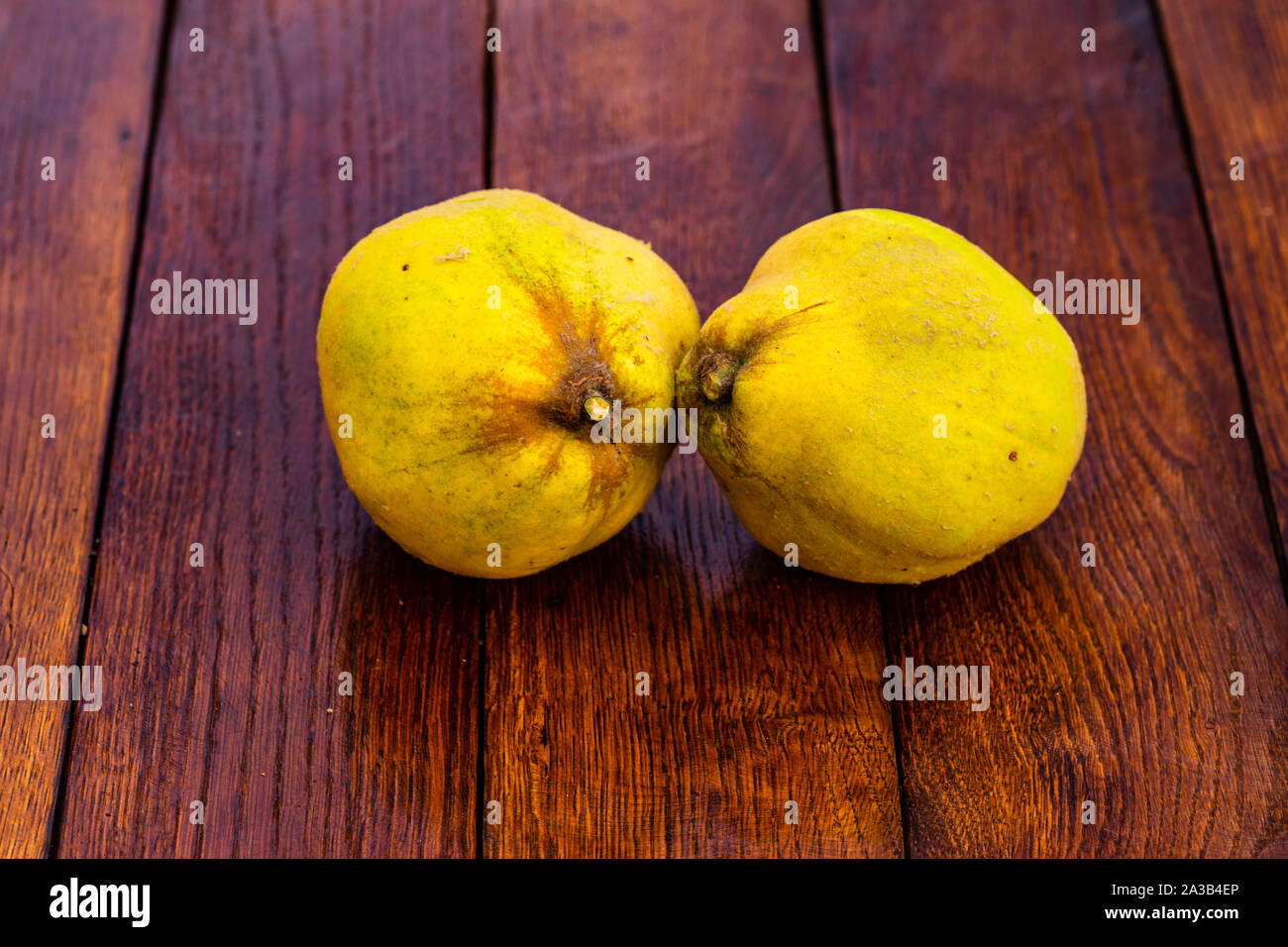 Coings isolés. Deux coings jaune sur une planche de bois. Banque D'Images