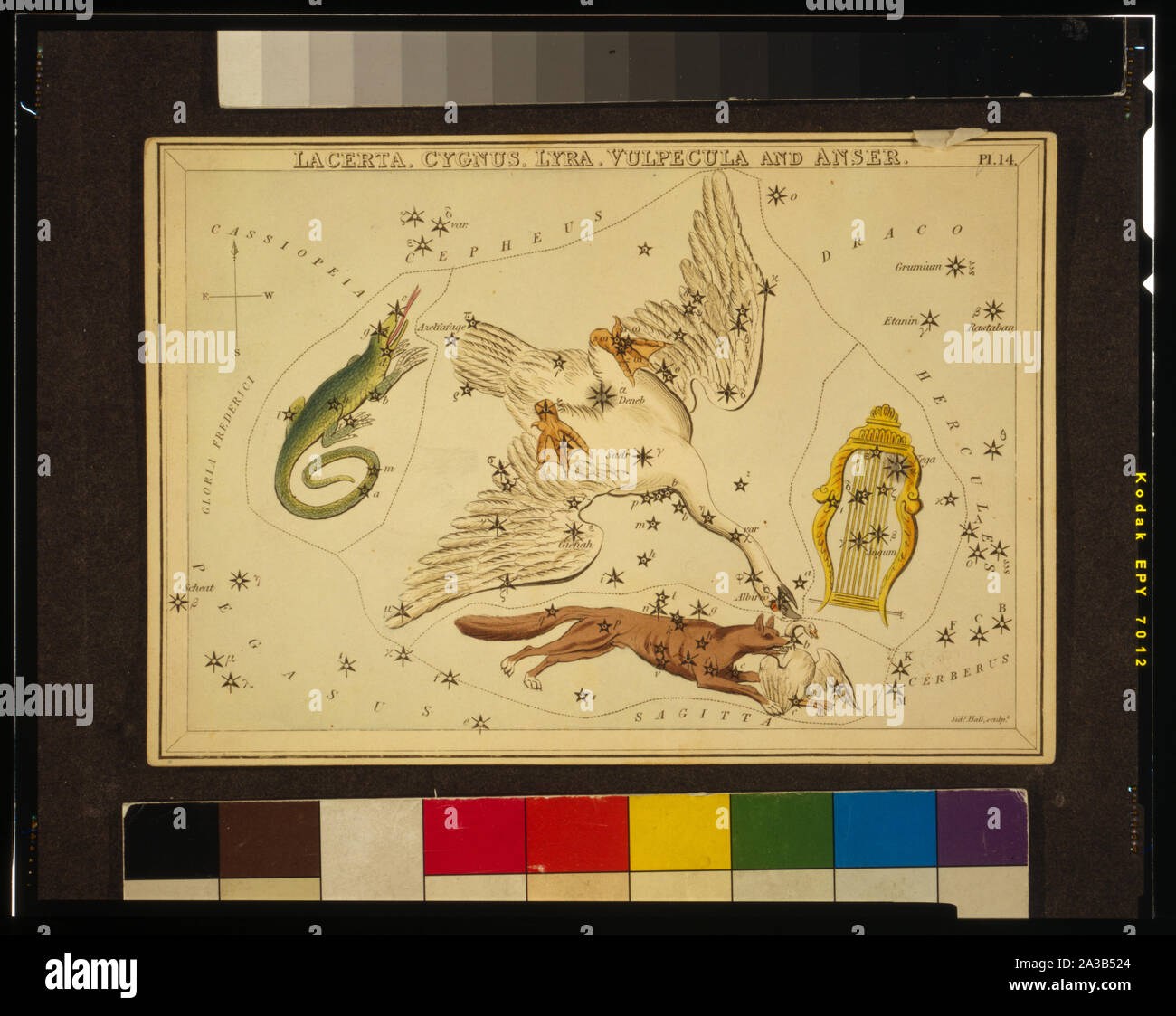Lacerta, Cygnus, Lyra, Vulpecula et Anser, planche 14 la felouque en miroir, un ensemble de cartes célestes accompagnés par un traité d'astronomie ... par Josaphat Aspin. Londres. Tableau astronomique, 1 couches d'impression sur paper board : gravure, colorées à la main. Vulpecula et Anser est essentiellement le nom complet de la constellation Vulpecula, désormais à sa forme abrégée. ; Banque D'Images