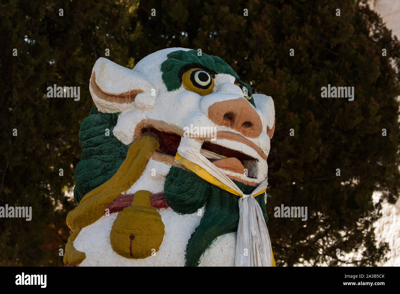 Lhassa snow lion Banque de photographies et d’images à haute résolution — free download