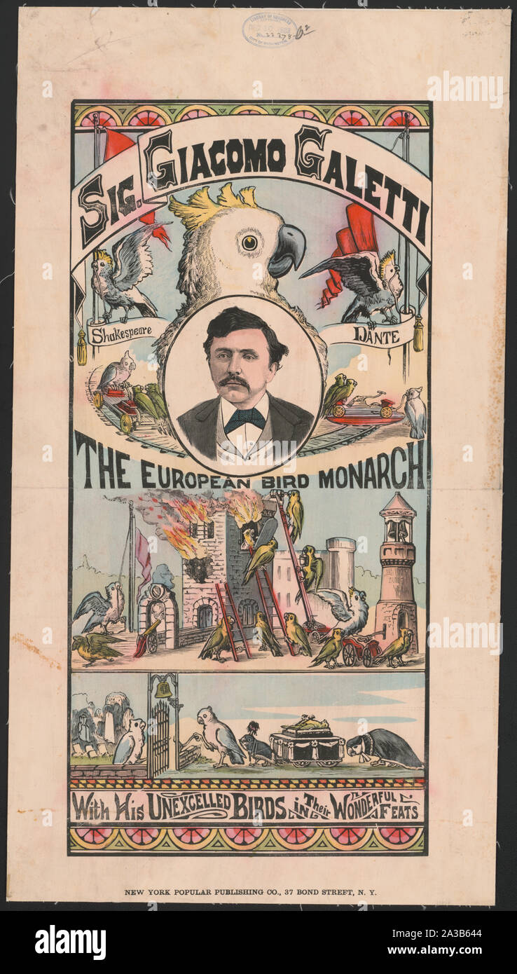 Sig. Giacomo Galetti : le monarque d'oiseaux européens : avec ses oiseaux inégalée dans leurs exploits merveilleux Banque D'Images