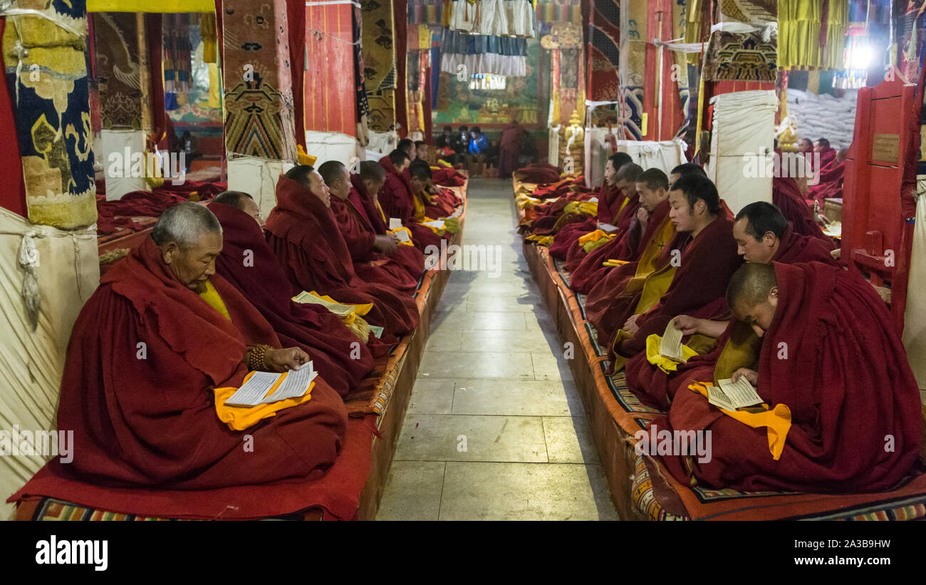 Les moines bouddhistes lire les Ecritures comme prosterné dans la salle Coqen ou Grande salle dans le monastère de Ganden sur Wangbur Mountain près de Lhassa, au Tibet. Banque D'Images