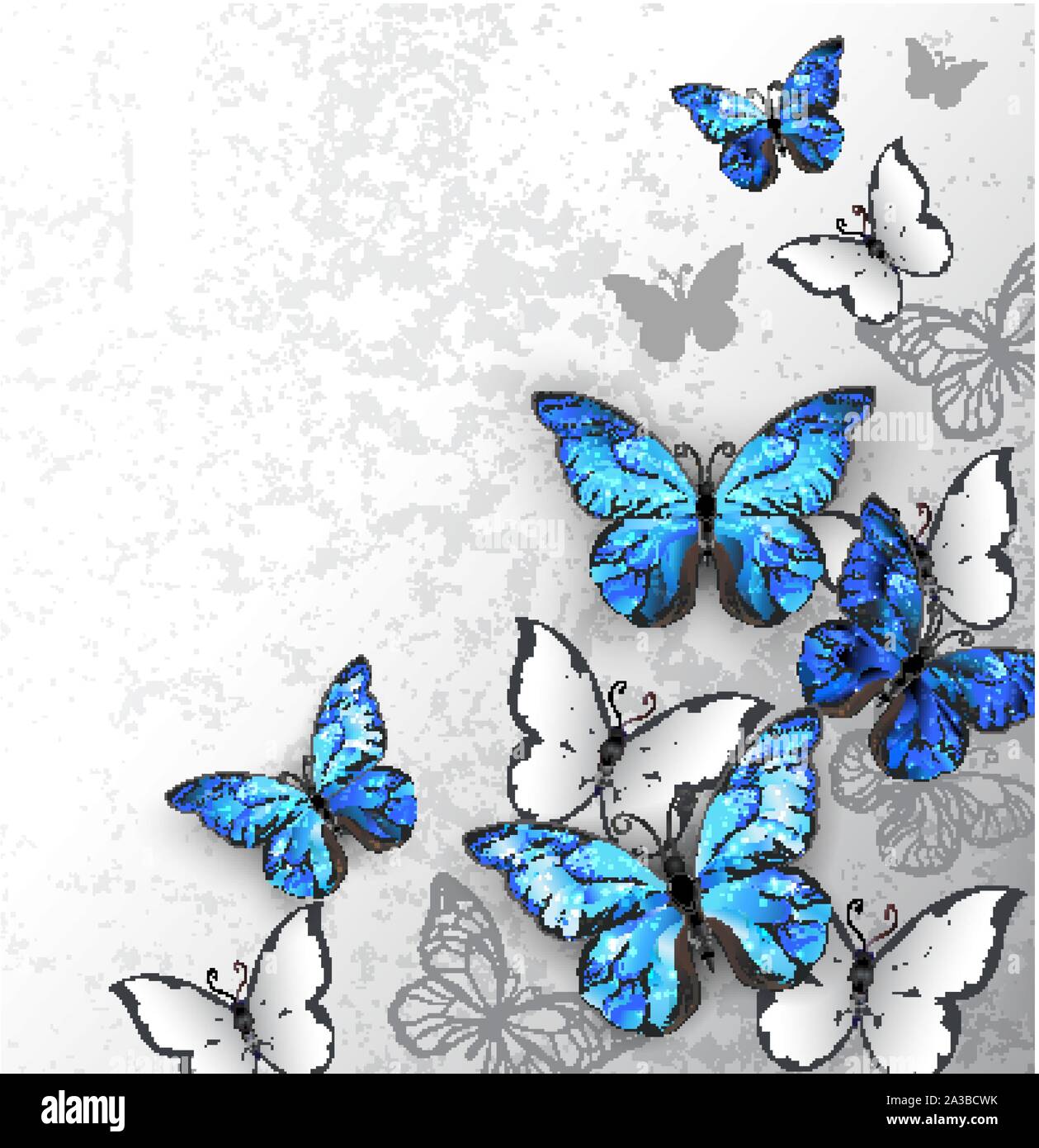 Bleu et blanc, papillons réalistes sur fond texturé gris. Illustration de Vecteur