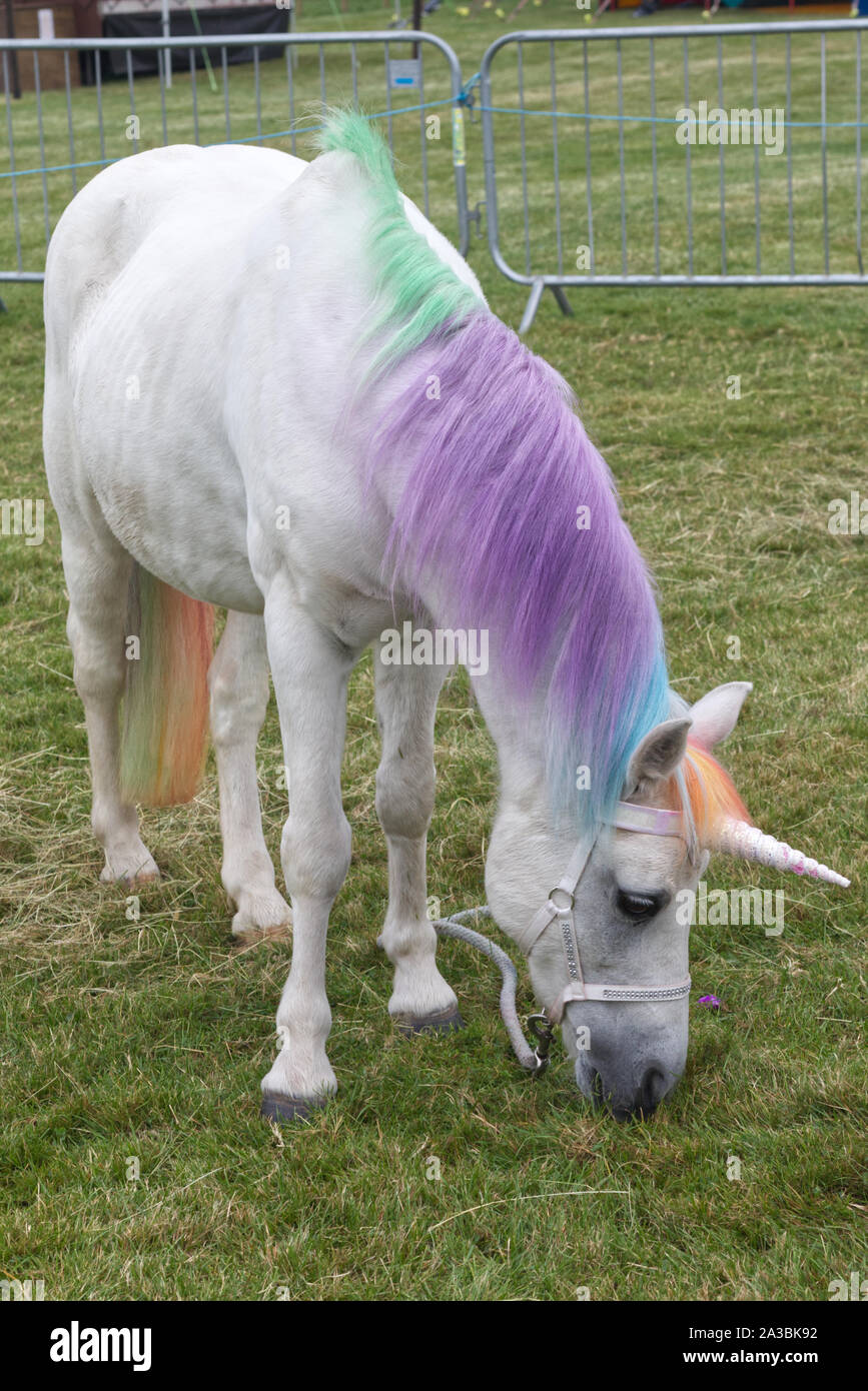 Poney Licorne enchantée Banque D'Images
