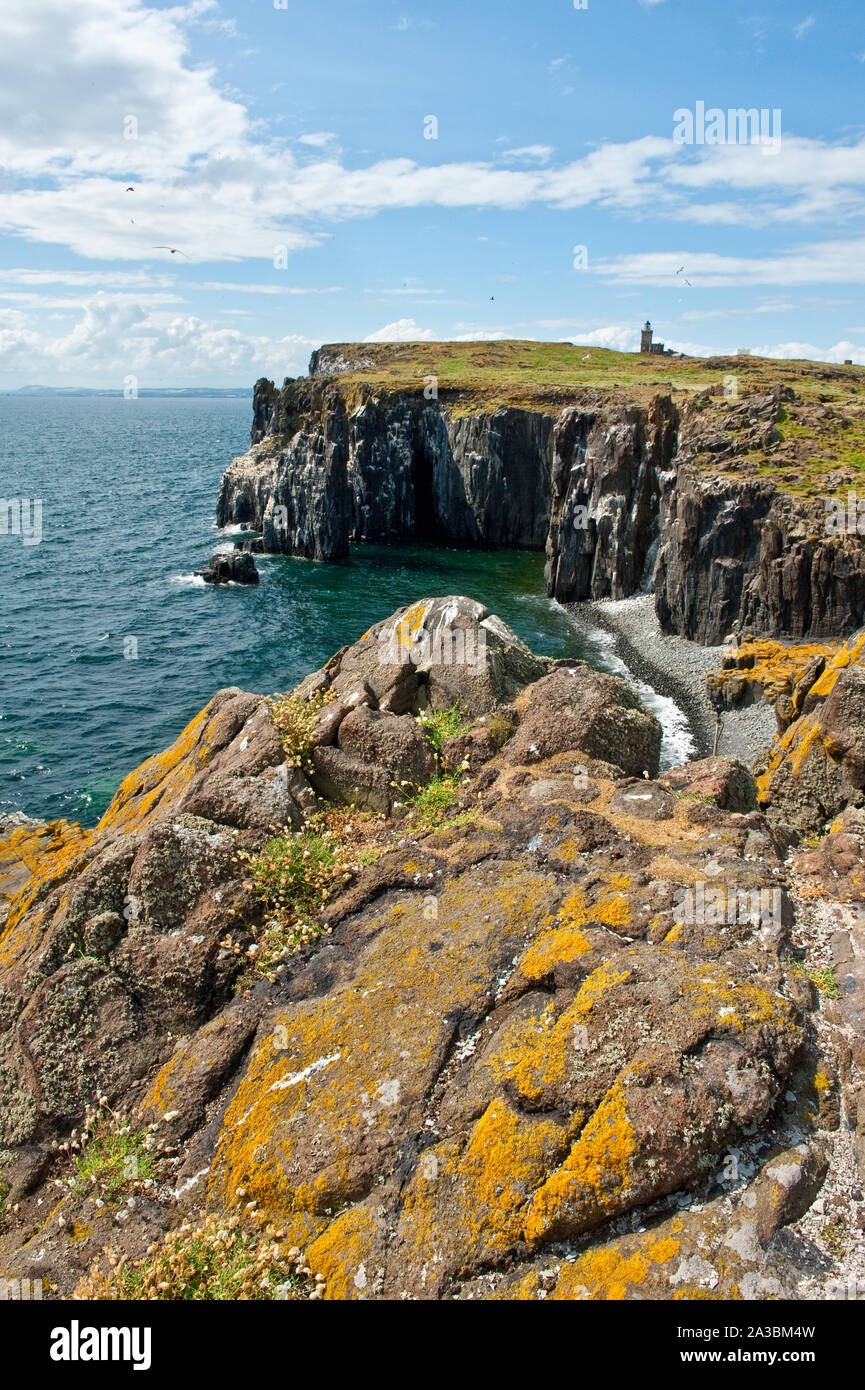 Falaises et le phare sur l'île de mai. Fife, Scotland Banque D'Images