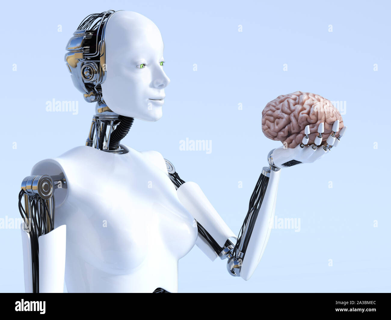 Le rendu 3D d'un robot femelle tenant un cerveau humain qu'elle est à la recherche en. Concept futuriste de l'intelligence artificielle. Banque D'Images