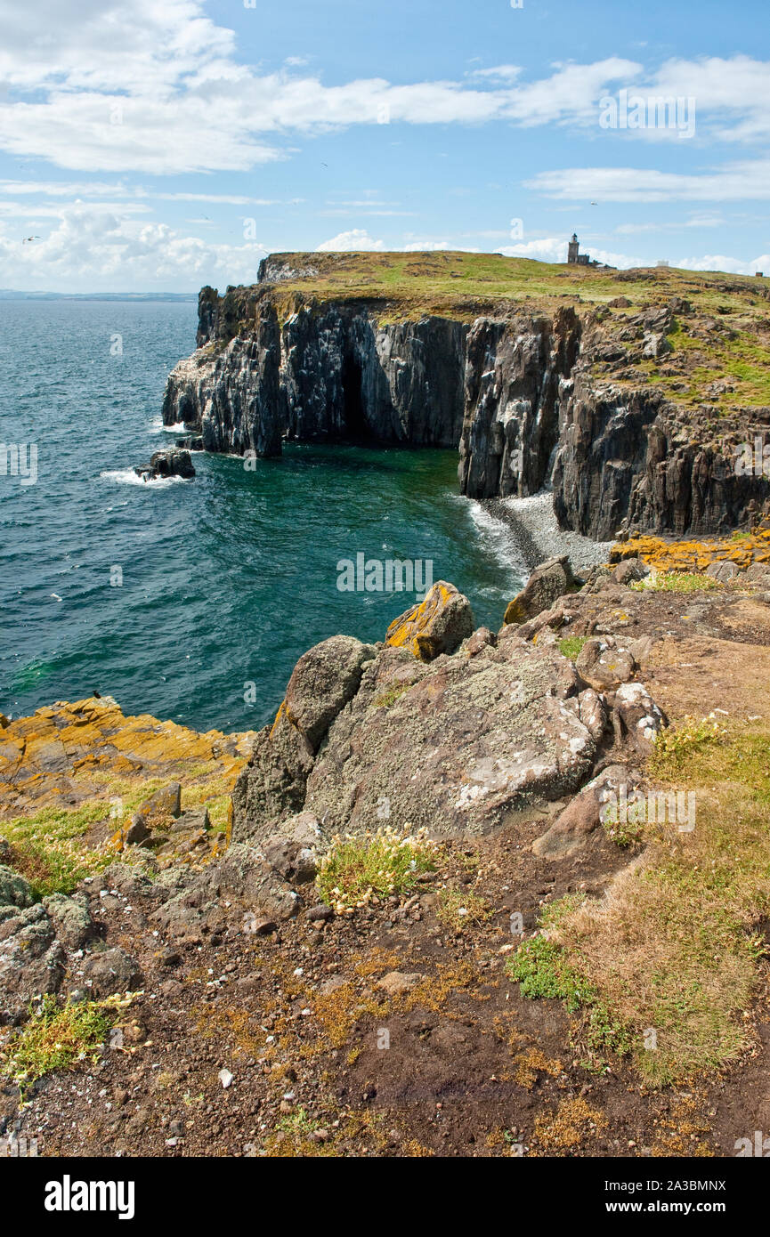 Falaises et le phare sur l'île de mai. Fife, Scotland Banque D'Images