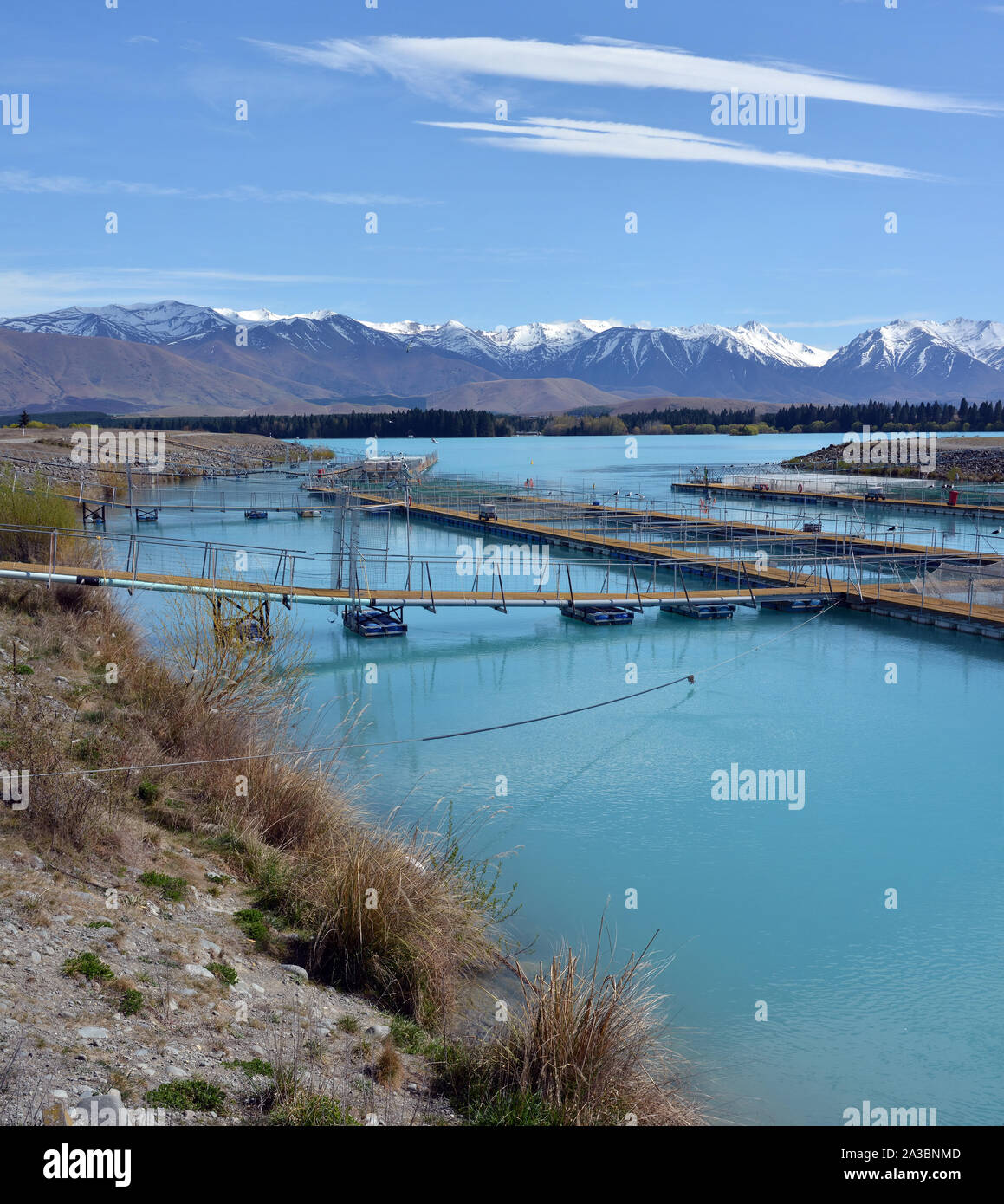 Salmon Farm & Montagne sur le lac Ruataniwha en Central Otago, Nouvelle-Zélande Banque D'Images