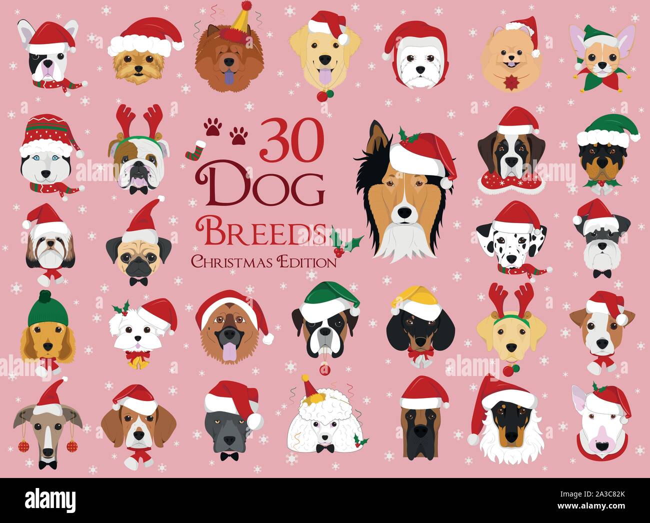 Ensemble de 30 chiens de races avec des thèmes de Noël et d'hiver Illustration de Vecteur
