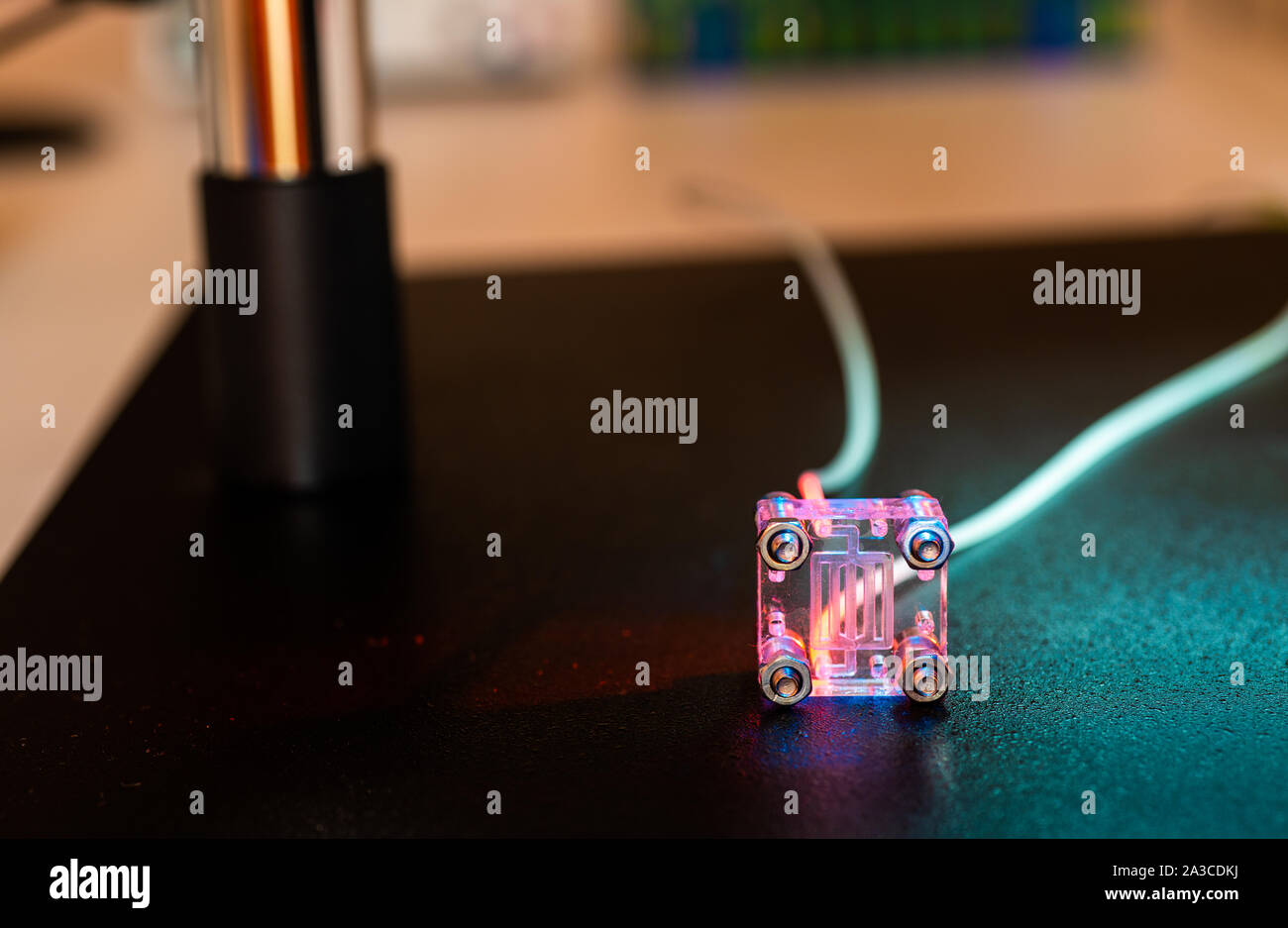 Organe-sur-puce (OOC) - dispositif microfluidique puce qui simule les organes biologiques c'est le type d'organes artificiels. Conception de prototypes de laboratoires sur puce Banque D'Images