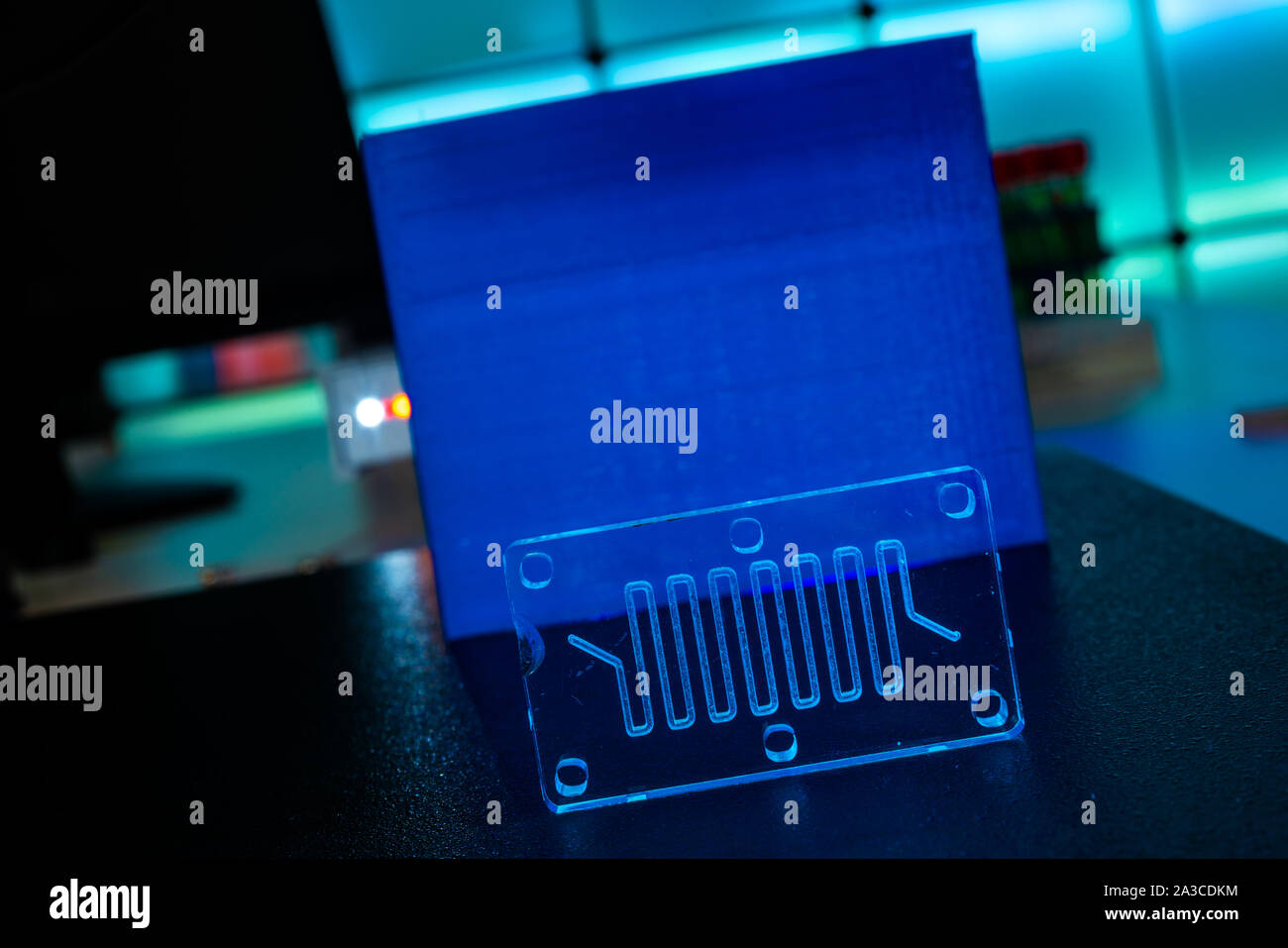 Organe-sur-puce (OOC) - dispositif microfluidique puce qui simule les organes biologiques c'est le type d'organes artificiels. Conception de prototypes de laboratoires sur puce Banque D'Images