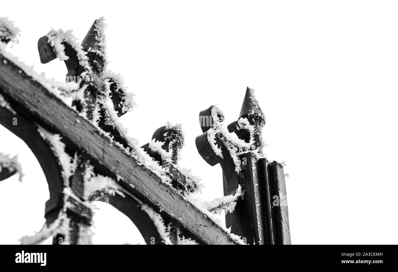 Vintage black chaussés avec hoarfrost isolé sur fond blanc Banque D'Images