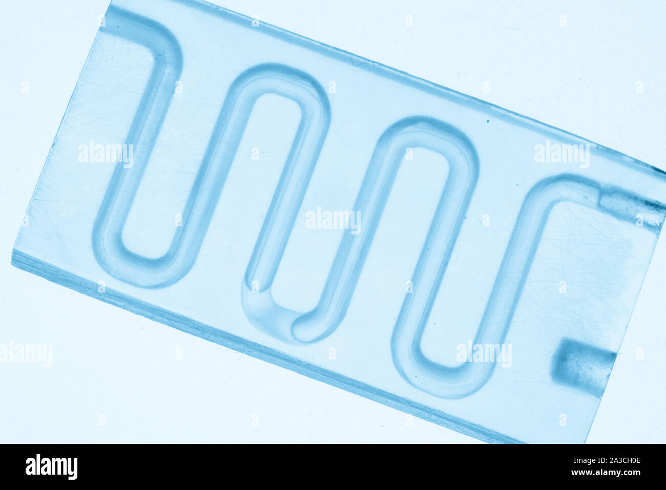Organe-sur-puce (OOC) - dispositif microfluidique puce qui simule les organes biologiques c'est le type d'organes artificiels. Conception de prototypes de laboratoires sur puce Banque D'Images
