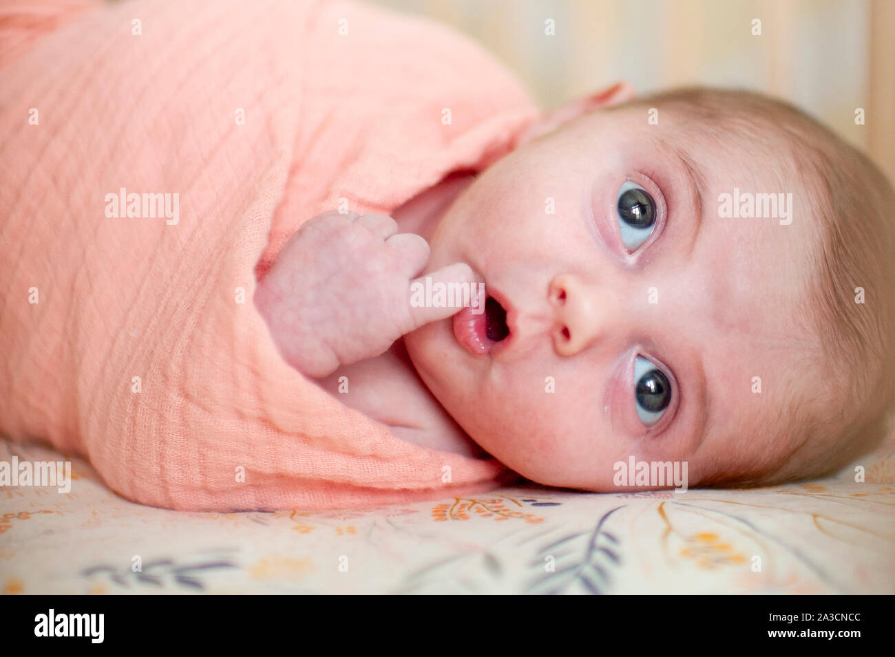 Naissance Bebe Fille Avec Mignon Expression Jusqu A La Rose Enveloppe Dans Photo Stock Alamy