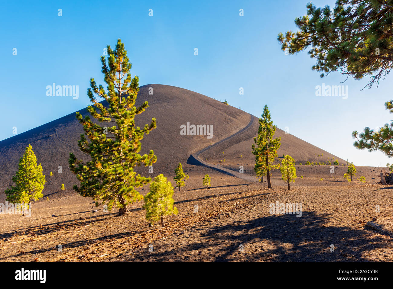 En cône de cendres volcaniques Lassen National Park, California, USA Banque D'Images