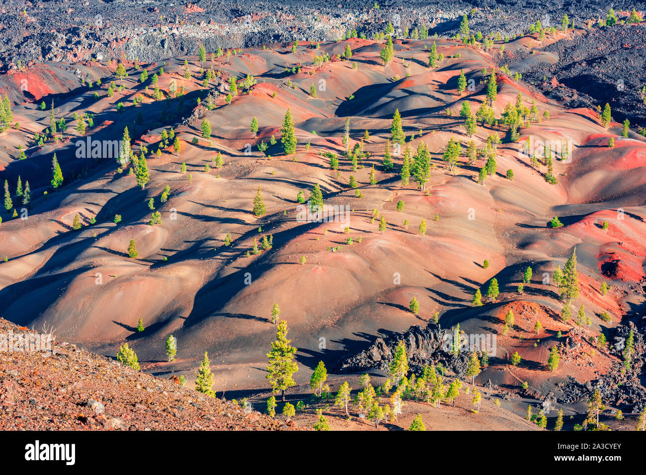 Dunes peint dans Lassen Volcanic National Park California USA Banque D'Images