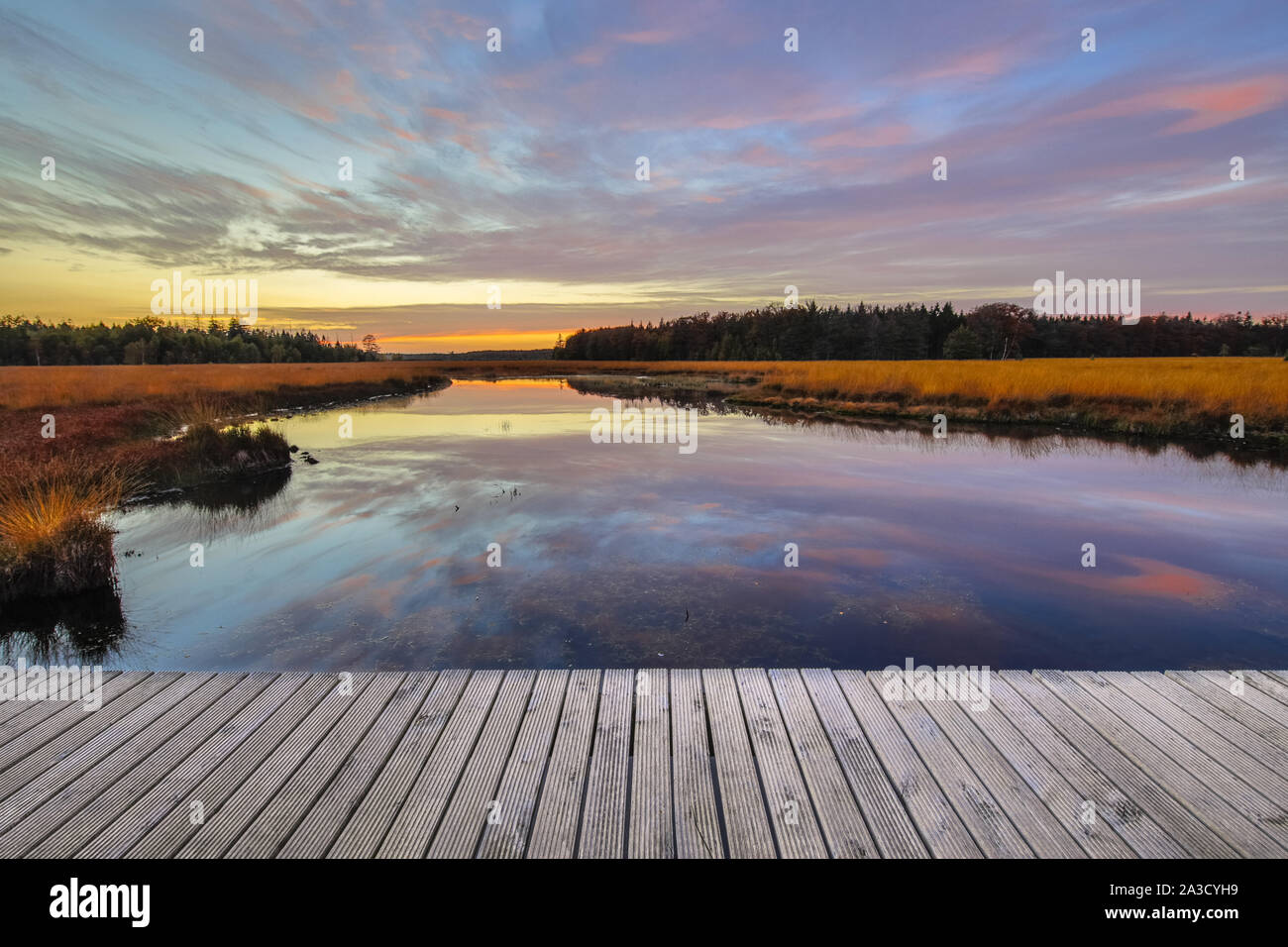 Promenade dans la réserve naturelle des landes fen paysage en province de Drenthe, Pays-Bas Banque D'Images