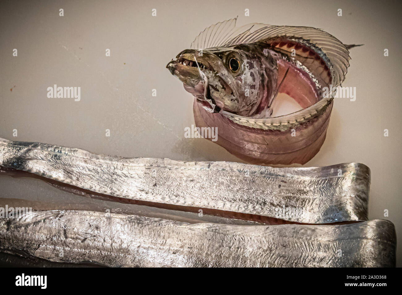 Restaurant préparation du plat de poisson à Shizuoka, Japon Banque D'Images