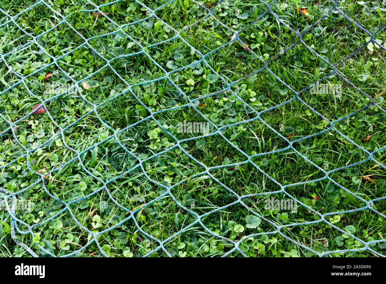 Close up d'un filet de buts de soccer allongé dans l'herbe Banque D'Images