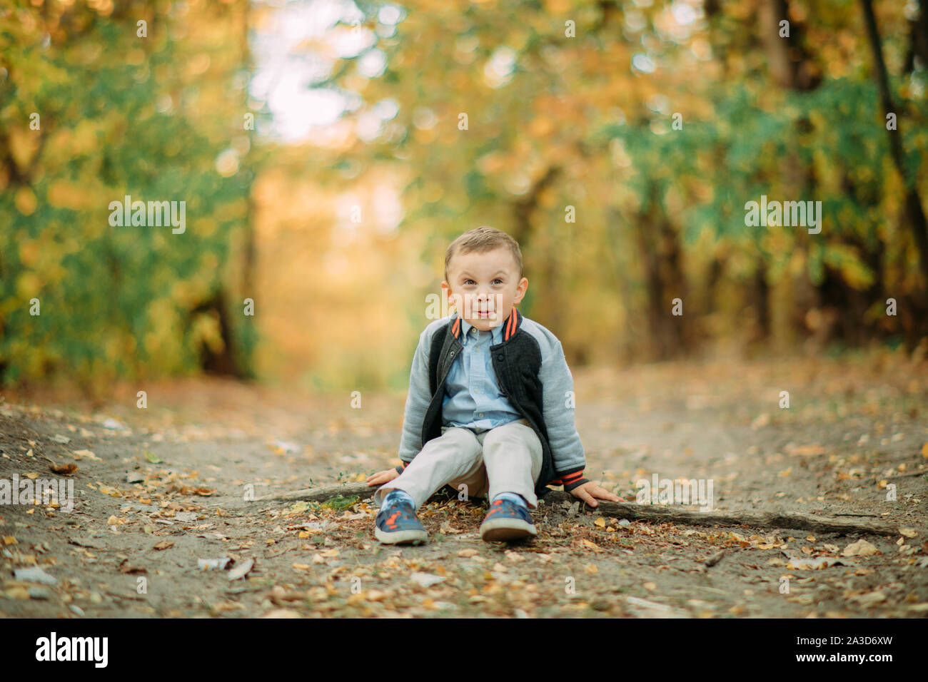 Un enfant garçon est assis sur un chemin en marchant dans la forêt d'automne. Banque D'Images