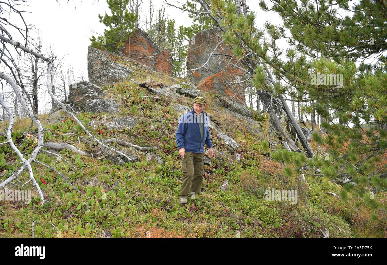 La Sibérie, la Russie. 06 octobre, 2019. Le président russe Vladimir Poutine de la randonnée dans la taïga sibérienne forêt près de la frontière mongole au cours d'une pause d'anniversaire le 6 octobre 2019 dans le sud de la Sibérie, en Russie. Poutine tourne 67 ans le 7 octobre. Credit : Alexei Druzhinin/Kremlin extérieure/Alamy Live News Banque D'Images