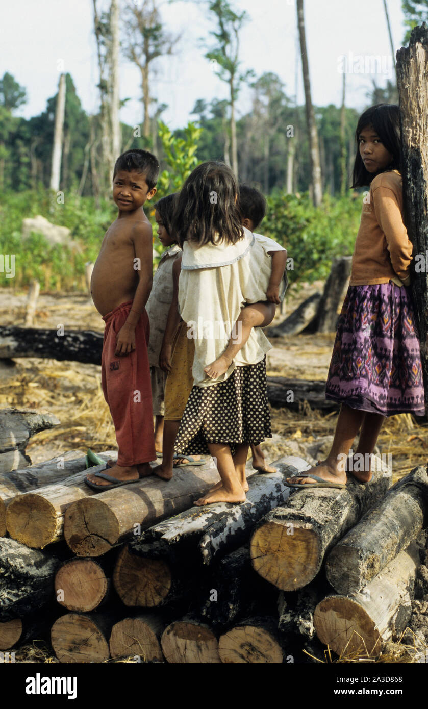Cambodge, région du Mékong, Stung Treng, l'exploitation forestière de forêt tropicale, effacée et forêts brûlées, des enfants de colons Banque D'Images