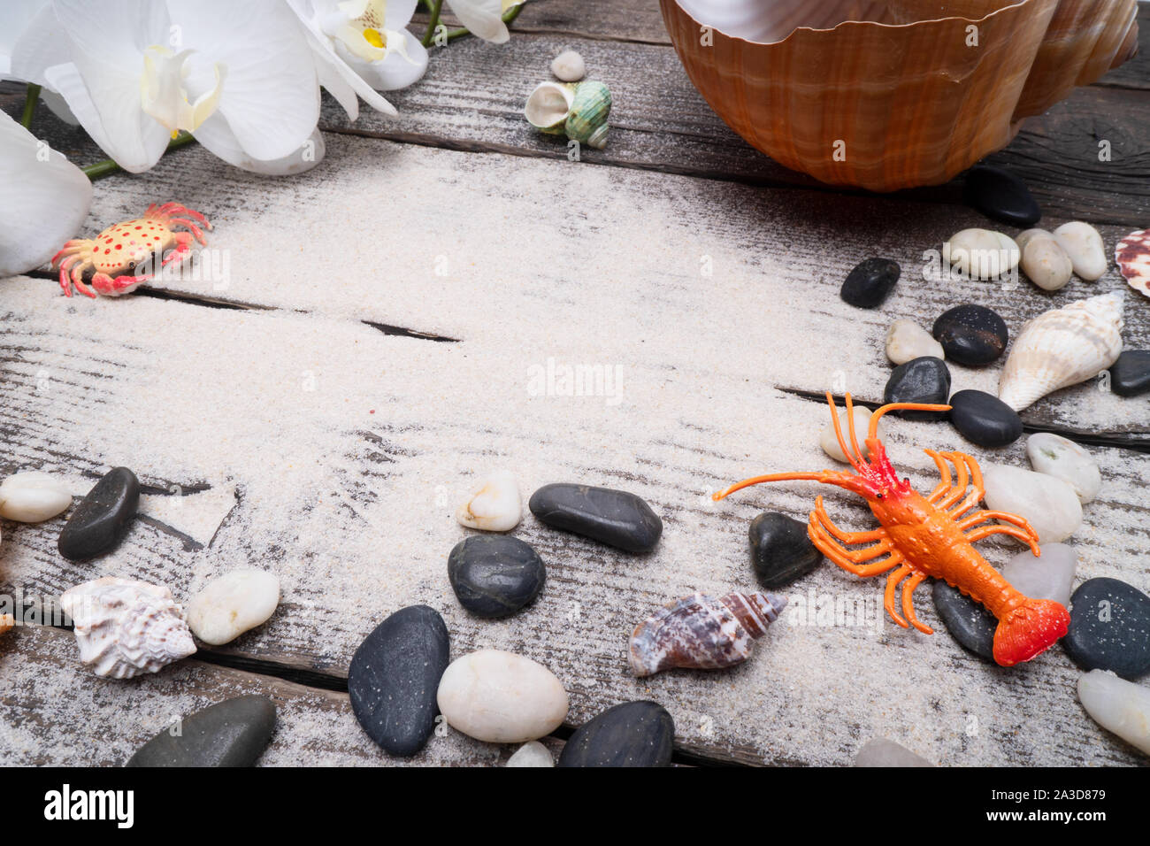 Concept de l'heure d'été avec des coquillages sur fond de bois et de sable. Idée voyage. Banque D'Images