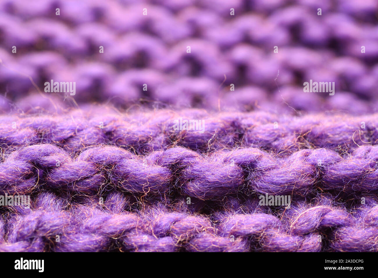 La maille. Mauve. Macro Banque D'Images