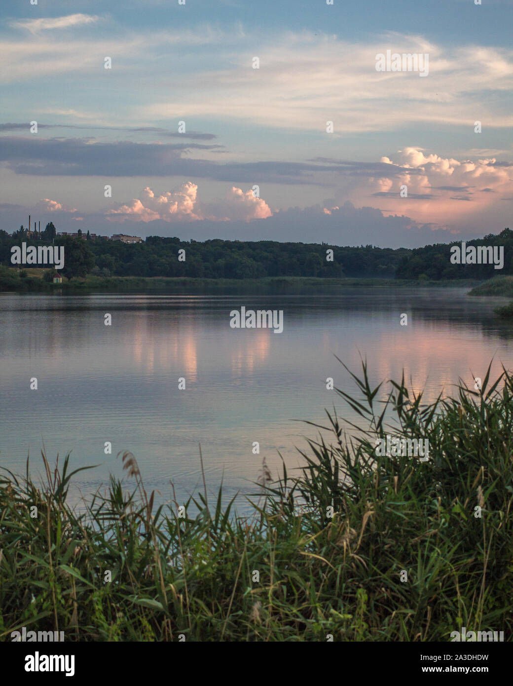 Soir de l'été sur le lac avec green roseaux en premier plan. Coucher de soleil avec des nuages bleus et roses et ciel bleu reflété dans l'eau. Format vertical Banque D'Images Soir de l'été sur le lac avec green roseaux en premier plan. Coucher de soleil avec des nuages bleus et roses et ciel bleu reflété dans l'eau. Format vertical Banque D'Images