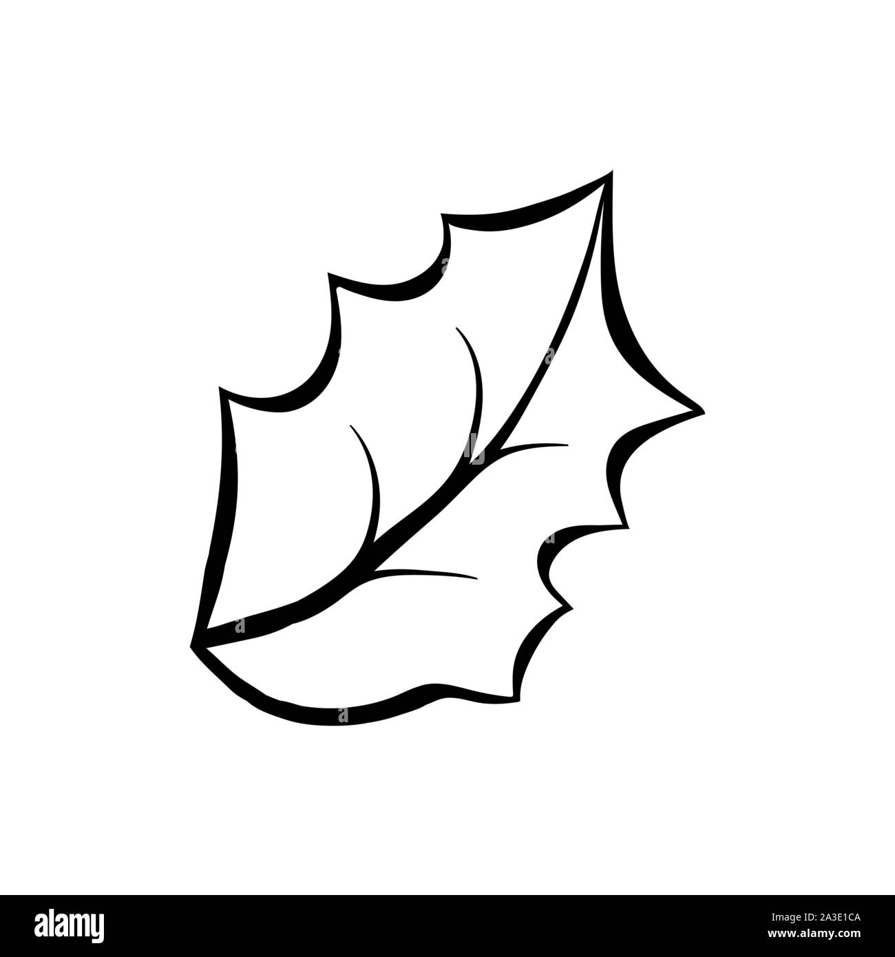 Feuille de gui hand drawn vector illustration. Ilex aquifolium close up image à colorier. Maison de vacances Décembre Célébration de Noël, symbole de contour. La flore de la forêt d'hiver stylo encre dessin à main levée Illustration de Vecteur