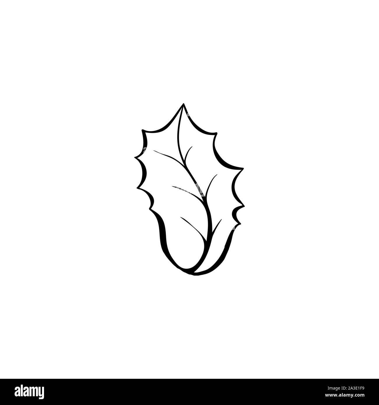 Ilex aquifolium leaf hand drawn illustration. Arbuste à feuilles de gui, photo de coloriage. Célébration de Noël, Nouvel An, botanique contours symbole. Le feuillage des plantes de Noël traditionnel dessin vectoriel Illustration de Vecteur