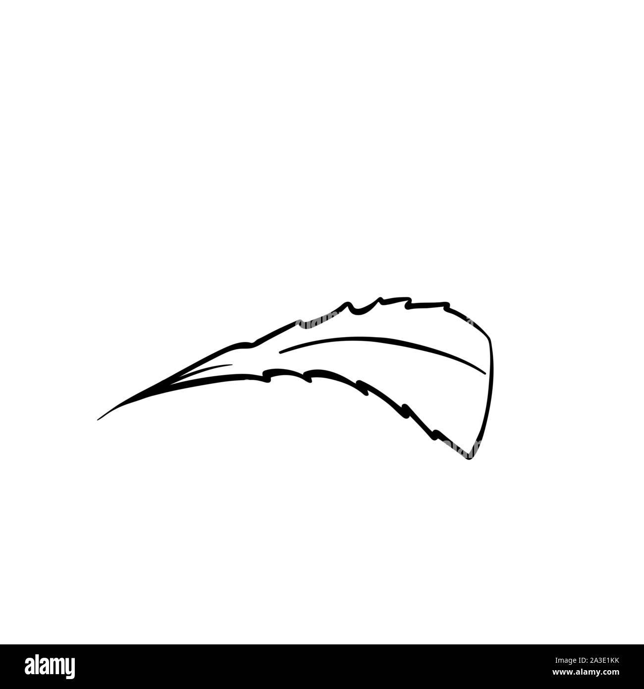 Feuille d'arbre hand drawn vector illustration. Coloriage antistress photo, les enfants coloriages de l'élément de conception. La flore de la forêt, de l'écologie, l'environnement naturel symbole contour isolé sur fond blanc Illustration de Vecteur